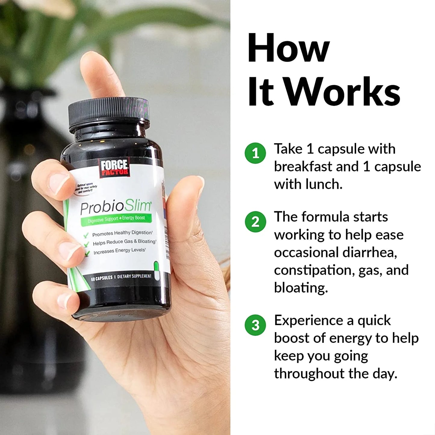 Probioslim Probiotic Supplement - 2-Pack for Digestive and Gut Health Support with Probiotics and Green Tea Extract, 60 Capsules